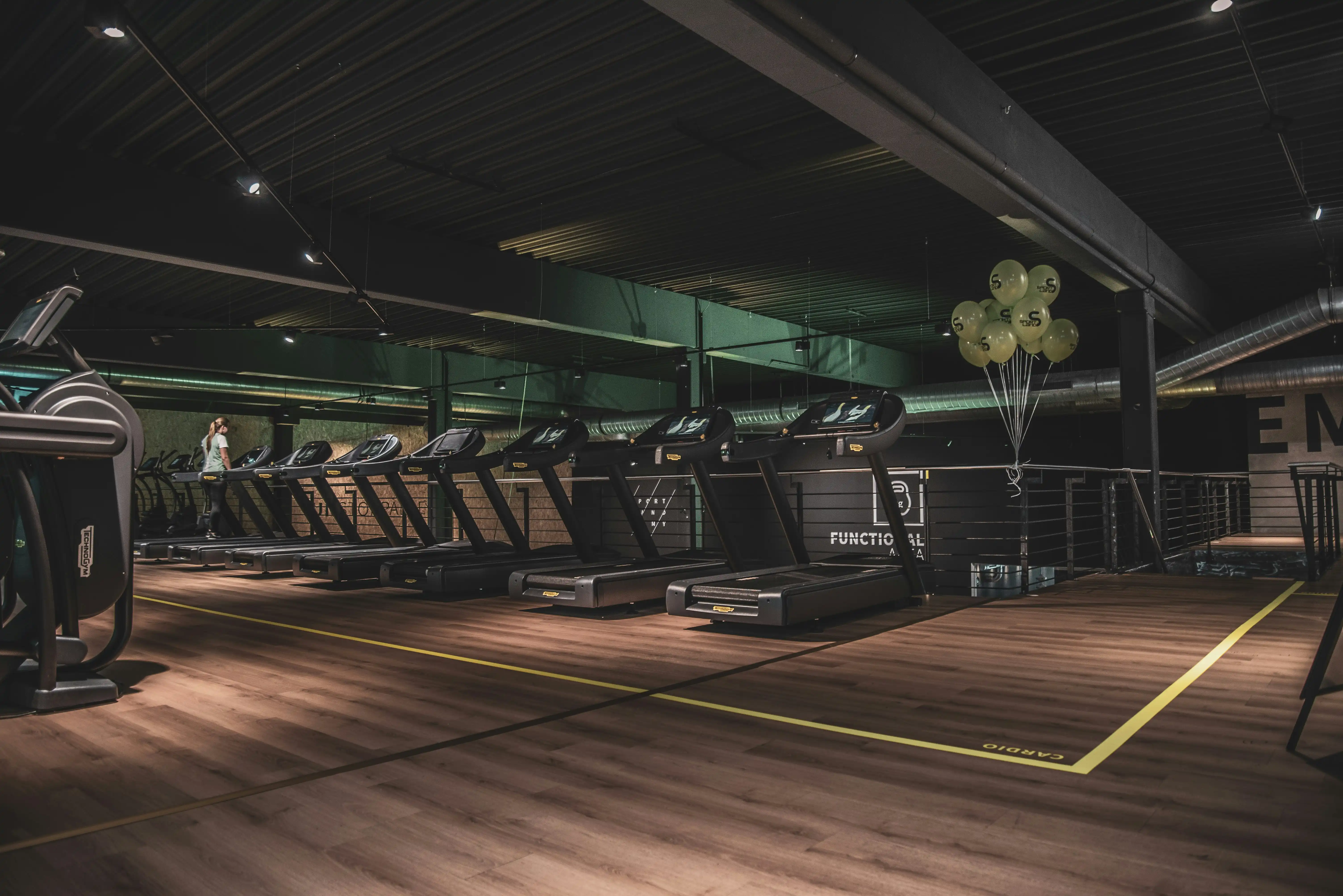 Gimnasio moderno